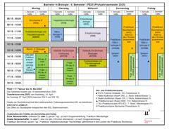 Stundenplan viertes Semester Biologie Universität Bern Frühjahrssemester 2025